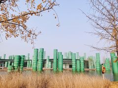-西安浐灞国家湿地公园