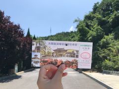 -金龙寺国家森林公园