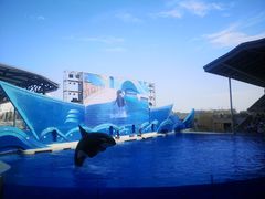 -上海海昌海洋公园
