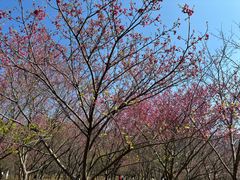 -福清灵石山国家森林公园