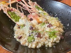 -Wine Universe 宇宙酒馆