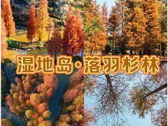 -佛冈森波拉度假区