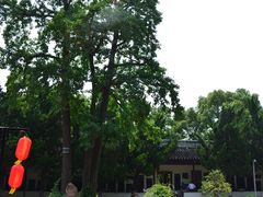 -苏州文庙(姑苏区)