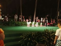 -渔家火锅·海鲜自助餐·演艺(亚龙湾天域酒店)