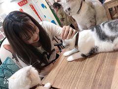 -李小姐の猫咖啡馆(五角场店)
