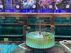 -梦都海鲜酒家(万达广场江桥店)