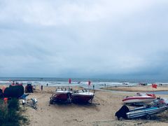 -日照海滨国家森林公园
