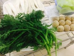 -蜀皇·菌汤鲜黄牛肉汤锅(宽窄巷子店)
