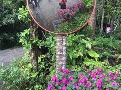 -呀诺达热带雨林