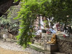 -小洲村