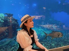 -海棠湾洲际-涛·海底餐厅·美人鱼·自助餐·海底隧道