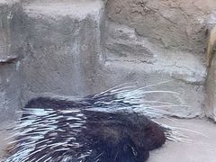 -沈阳鸟岛