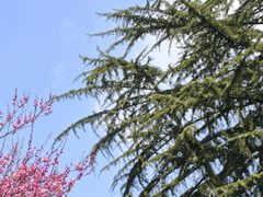 -浙江大学(玉泉校区)