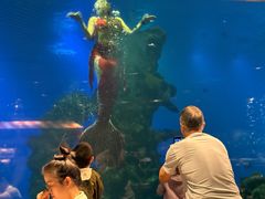 -海棠湾洲际-涛·海底餐厅·美人鱼·自助餐·海底隧道