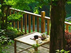 -缙云山景区