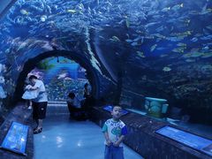 -海合安成都极地海洋公园