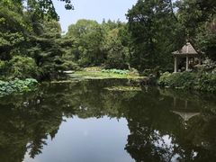 -叶家花园