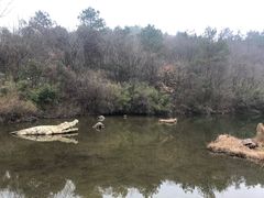 -天目湖山水园