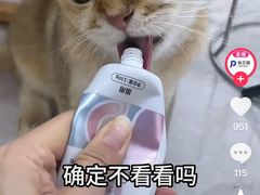 -瑞鹏宠物医院·骨外科·心肾科·肿瘤科(九亭店)