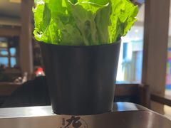 -九田家黑牛烤肉料理(新辰里亚运村店)