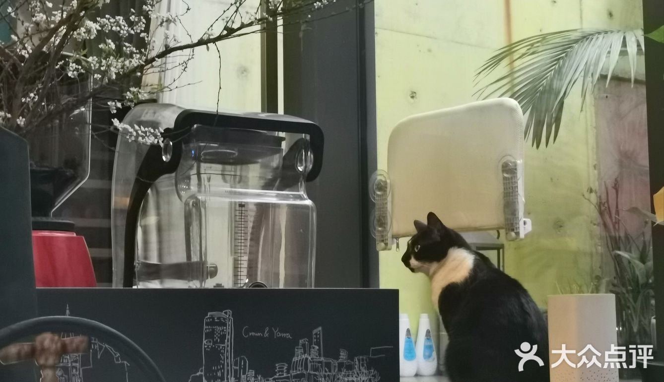 盐田最棒的咖啡厅——