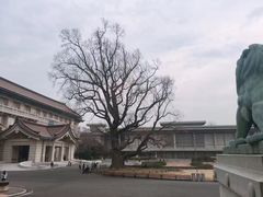 -东京国立博物馆
