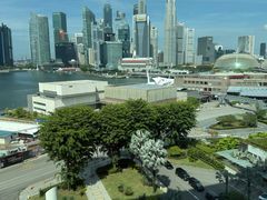 -新加坡文华东方酒店