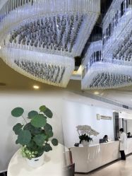-深圳阳光医疗美容医院·旗舰店