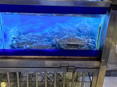 -两兄弟Song Pee Nong(2号店)