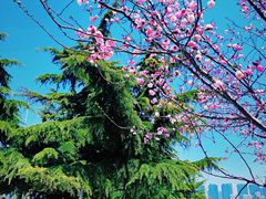 -大连植物园
