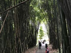 -凤栖山