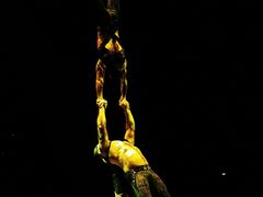 -珠海横琴长隆《卡卡虎奇遇记》