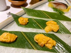 海胆-芥末日本料理(打浦路铂尔曼旗舰店)