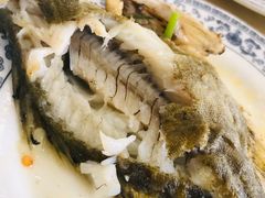 -岩泊渡桂鱼楼活鱼馆