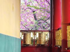 -西安市广仁寺