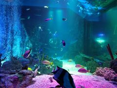 -沈阳海洋探索中心