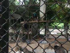 -陕西自然博物馆