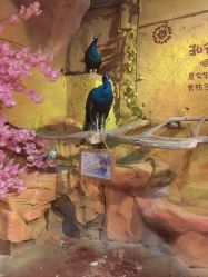 -奇幻萌宠部落(映月湖环宇城店)