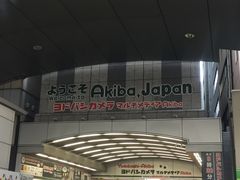 -秋叶原电器街