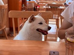 -柴の食堂·日式家庭料理·熊之肆(大学路店)