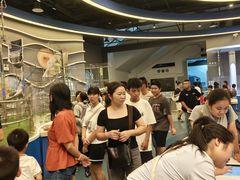 -佛山科学馆