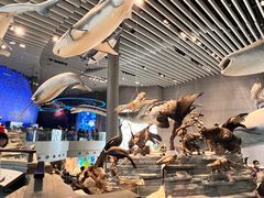 -Behring World of Animals(上海自然博物馆店)