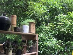 -国生茶庄·地道农家菜团建活动