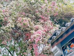 -深圳国际园林花卉博览园