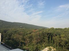 -南京东郊国宾馆
