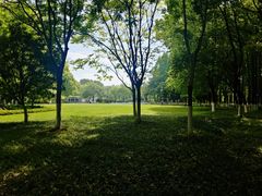 -范蠡湖公园