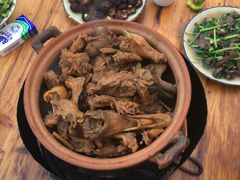 -霞姐屯昌枫木香草鸭店(海螺店)