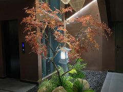 -椿杨樘·明康泡浴养生馆(重庆店)