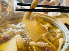 -百利鸽王(紫薇路店)
