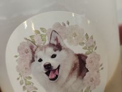 -Husky Go! 哈士奇体验馆·宠物咖啡厅狗咖